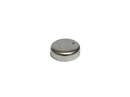 ZAŚLEPKA BLOKU SILNIKA 30MM MASSEY FERGUSON 0650563 