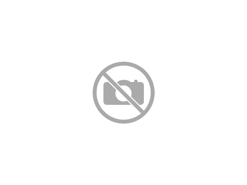 MCHALE USZCZELNIACZE SIŁOWNIKA KLAPY CSE00147 MCHALE USZCZELNIACZE SIŁOWNIKA KLAPY CSE00147