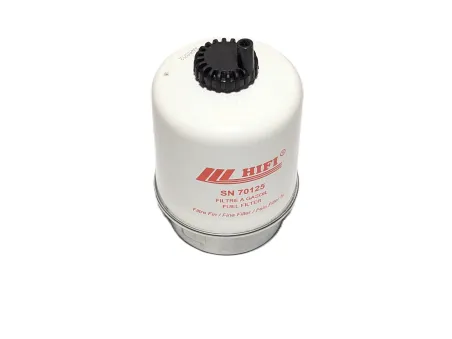 FILTR SN 70125 