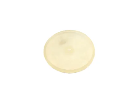 OPRYSKIWACZ MEMBRANA POMPY BOCZNA P-120 BIARDZKI 650040310903201 