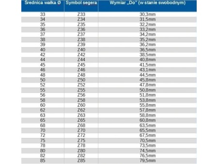 PIERŚCIEŃ OSADCZY 30Z
