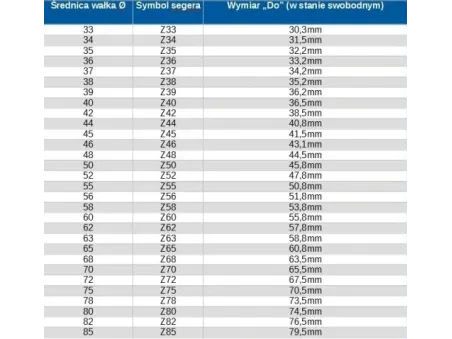 PIERŚCIEŃ OSADCZY 65Z